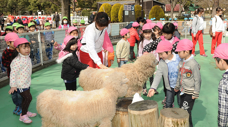 お別れ遠足